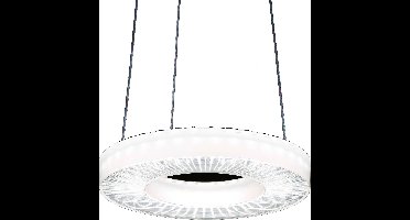 RIDI SPI0000060 SPI0000060 LED-hanglamp LED 35 W
