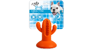 AFP Dental Chews - Dental Cactus M Oranje