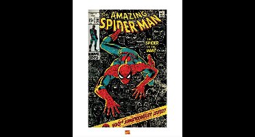 Kunstdruk Spider-Man 40x50cm