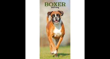 Boxer Slim Agenda 2027