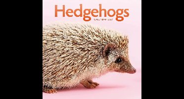 Egel Kalender 2027