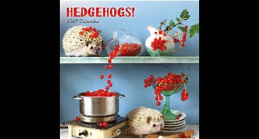 Egel! Kalender 2027