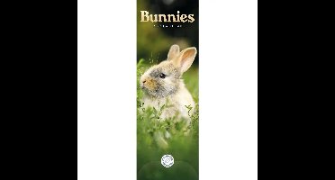 Konijnen Kalender Slimline 2027