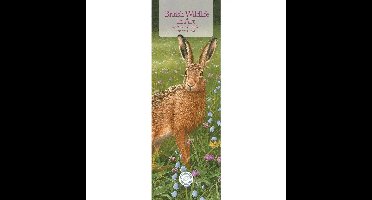 Robert Fuller British Wildlife Kalender 2027 Slimline