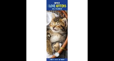 RSPCA, I Love Kittens Slim Kalender 2027