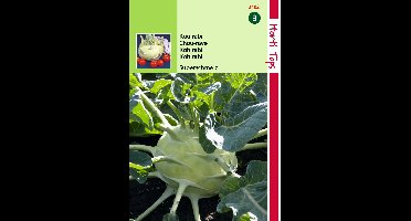 Zaden Koolrabi Superschmelz Hortitops - Hortitops