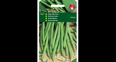 Zaden Stamslabonen Paloma 100g Tuinplus - Tuinplus