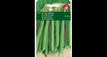 Zaden Stamslabonen Prelude zonder draad 100g Tuinplus - Tuinplus
