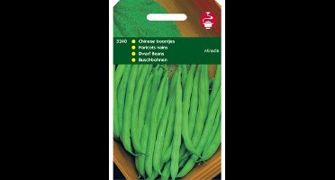 Zaden Stamslabonen chinees boontje Miracle 100g Tuinplus - Tuinplus