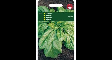 Zaden Spinazie Securo 50g Tuinplus - Tuinplus