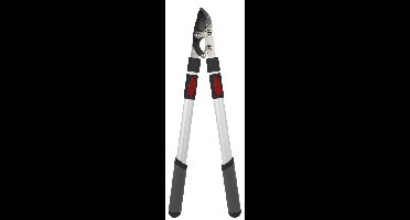 Takkenschaar aambeeld telescopisch premium 66-99 cm TalenTools - Talentools