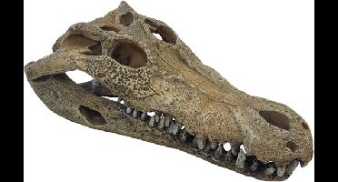 Deco crocodile xxl Repto - Repto