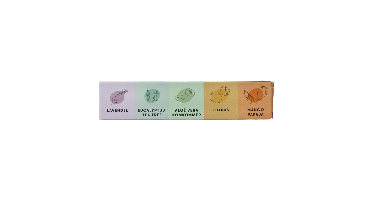 Solyd Shampoo bars proefpakket 50 Gram