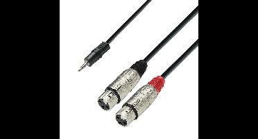Adam Hall 3 Star YWFF 0600 3,5mm mini-jack naar 2x XLR female kabel 6m
