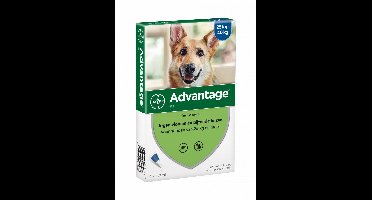 Advantage Advantage Hond