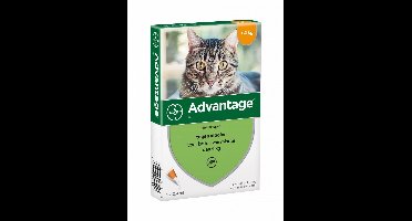 Advantage Advantage Kat