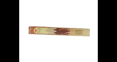 HEM Wierook Cinnamon - 20 stuks