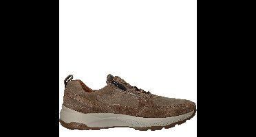 Waldlaufer Tom Sneakers  Taupe