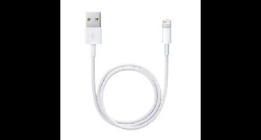 Apple Lightning / USB 0,5 m Wit