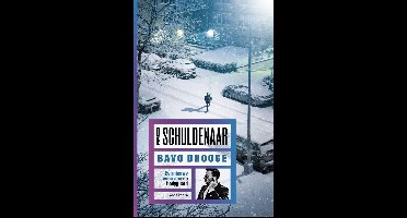 De schuldenaar - Bavo Dhooge - ebook