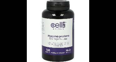 Mucuna pruriens