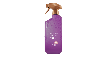 Bruynzeel Cosmetic Homecare Antikalk Schuimreiniger Fresh Wood