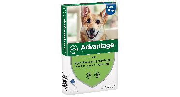 Advantage Hond 400