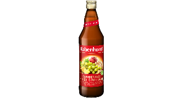 Rabenhorst Gember-Mix Sap