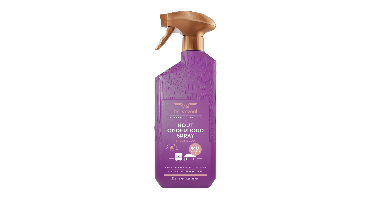 Bruynzeel Cosmetic Homecare Hout Onderhoud Spray Fresh Wood