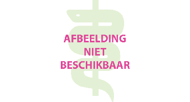 Jacob Hooy Boldoblad Gesneden