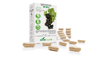 Soria Ribes Nigrum XXI Capsules