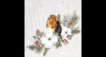 Duni Servetten Robin Forest 24x24cm