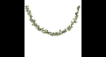 Decoris Guirlande met bessen 150cm