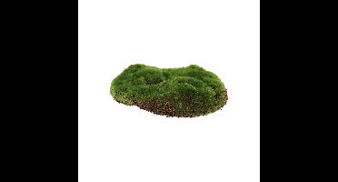 Esschert Design Kunstmos S 15x13cm