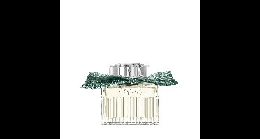 Chloé Rose Naturelle Intense 100% Eau de Parfum Intense 50ml | Dames Parfum