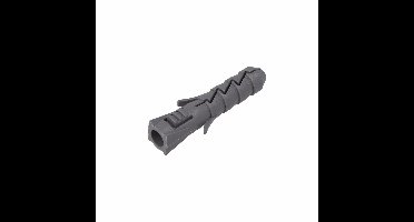 Rawl nylon plug fix 10 (100)