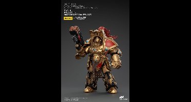 Joy Toy (CN) Warhammer The Horus Heresy Action Figure 1/18 Legio Custodes Aquilon Terminator Squad Aquilon met twin-linked Adrathic Destructor 14 cm Action Figuur