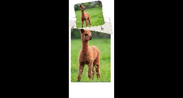 Sweet Home dekbedovertrek Llama 100 x 135 cm - 40 x 60 cm - katoen