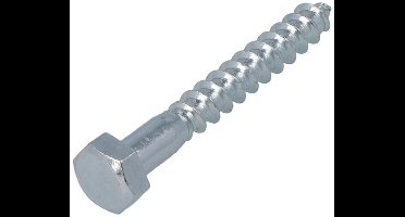 Houtdraadbouten - DIN571 Zeskant - M6 x 30mm - Verzinkt (500 stuks)