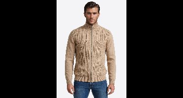 pierre cardin vest