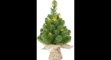 Black Box norton kunstkerstboom - 60 cm - met jute - groen - 20 led lampjes warmwit