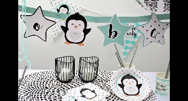 Hello lovely babyshower/gender reveal pakket
