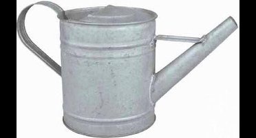 Esschert Design gieter zink voor binnenshuis - 0,75 L