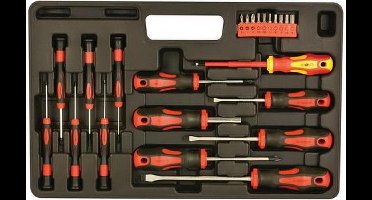 TOOLS-box 23-delig schroevendraaier + bitset