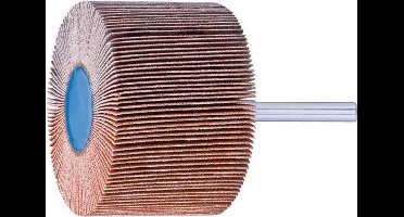 Lamellenslijpstift CO-COOL 50x30mm K40 Pferd