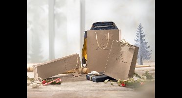 Papieren cadeauzakje 'Kerstboom', klein formaat