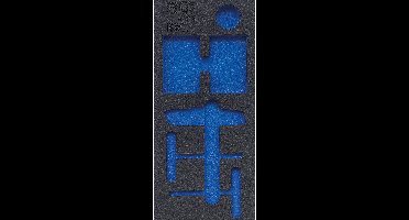 BGS Werkplaatswageninleg 1/3 leeg voor art. 4124 - 4124-1