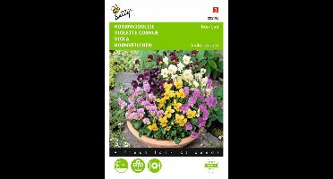 Viola cornuta Bambini gemengd
