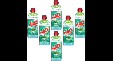 Ajax Eucalyptus Huishoudelijk Schoonmaakmiddel Voordeelbox - 6 x 650 ml