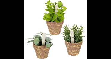 Kunstmatige kruidenpot met decoratieve kruiden voor keuken, tuin, balk